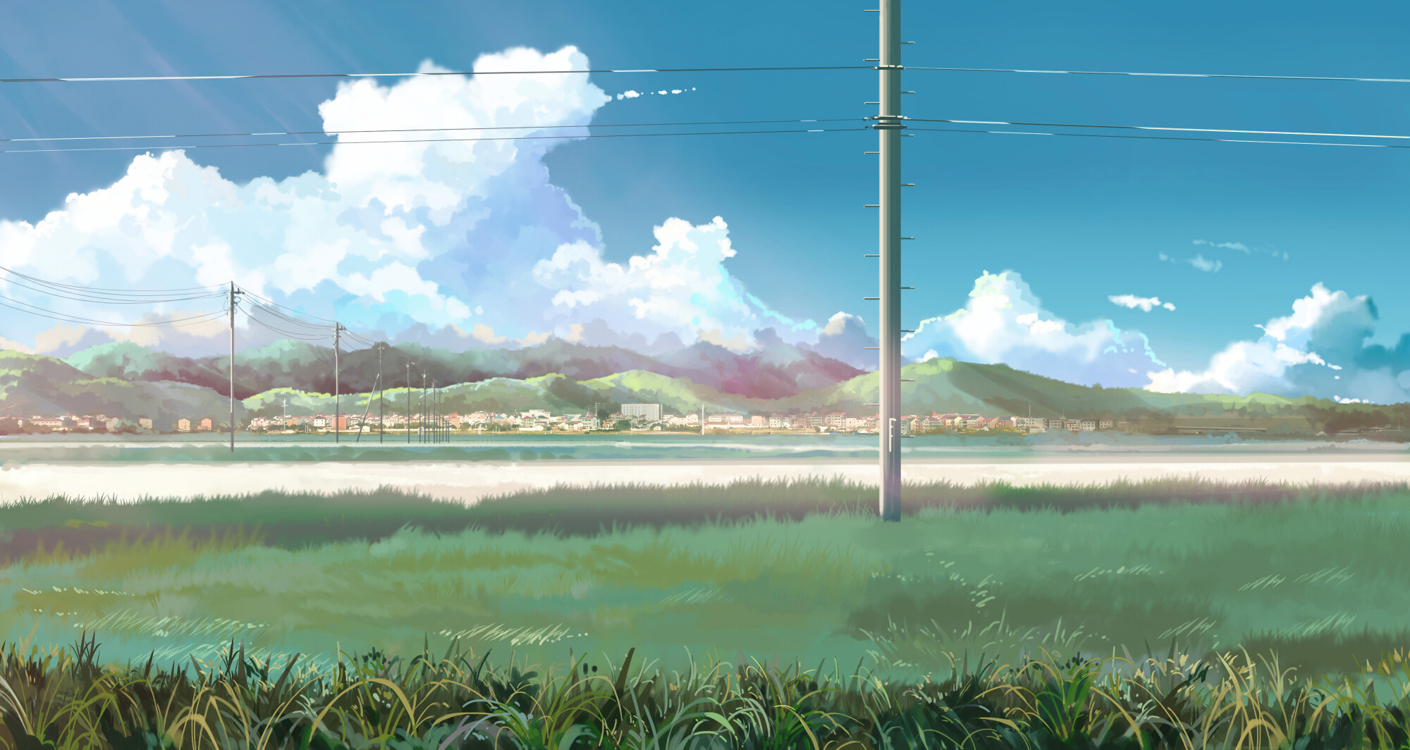 Desktop banner image 5