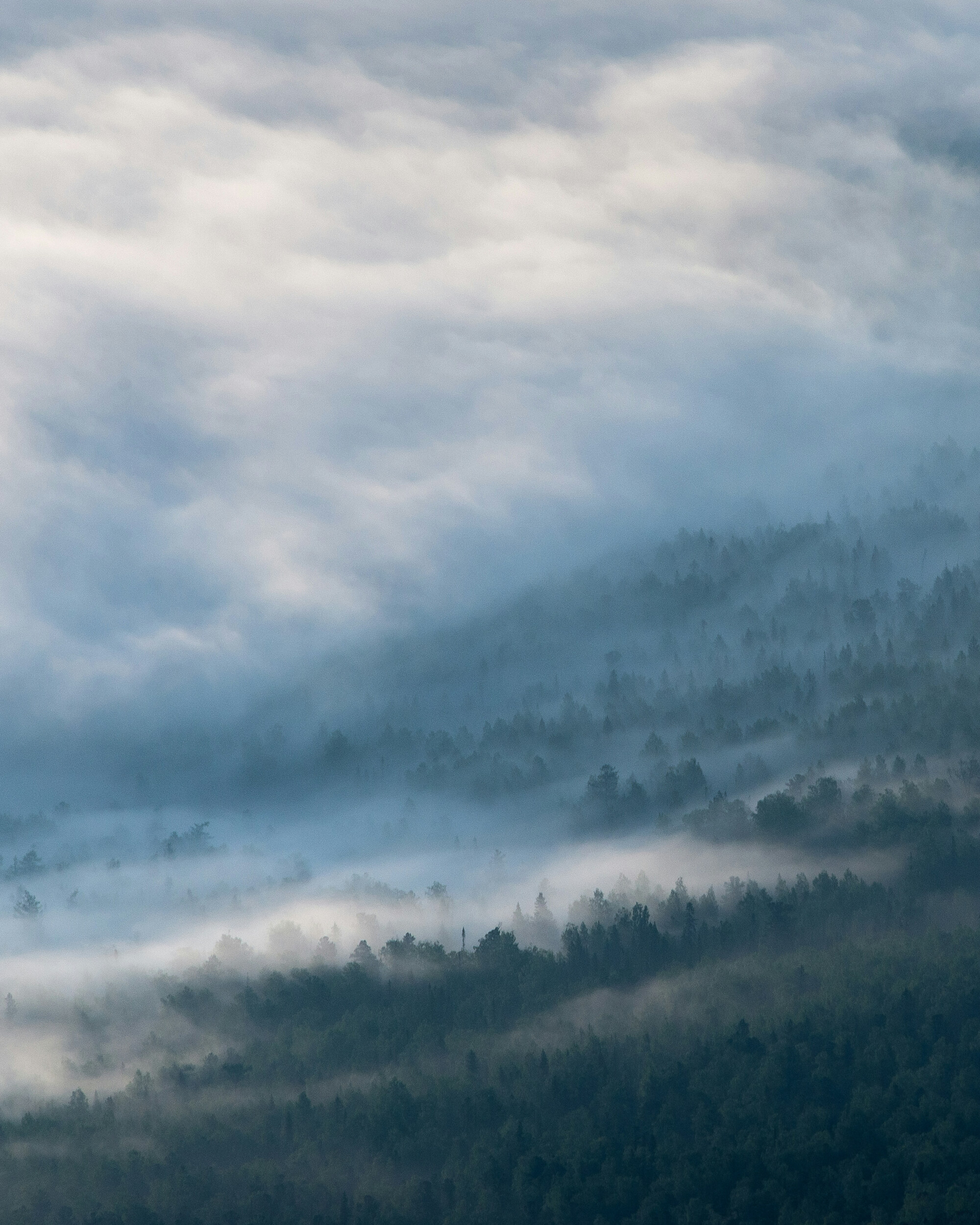 Mobile banner image 8